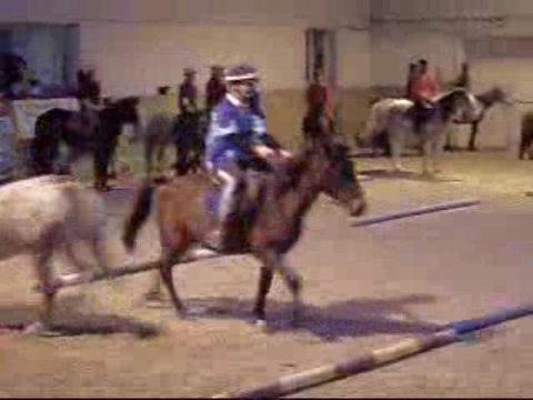 teksab 29 novembre 2009 pony games