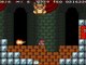 Super Mario Advance 4 : Super Mario Bros. 3 (fun speed run)