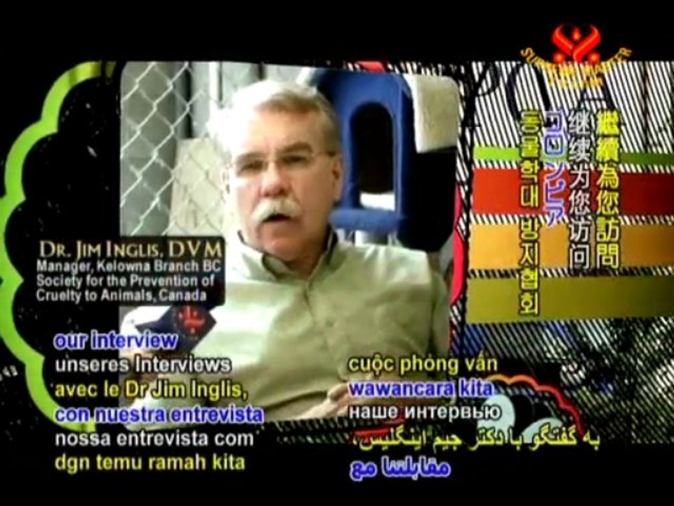 BC Society for the Prevention of Cruelty to Animals