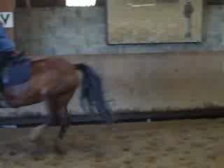 Mon 1ér Cours de Saut Avec Haighmoor.