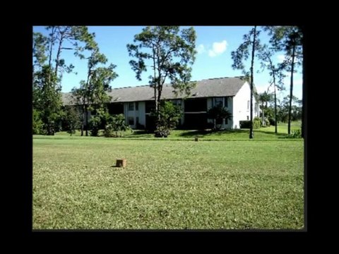 Best Naples Florida Vacation Rentals