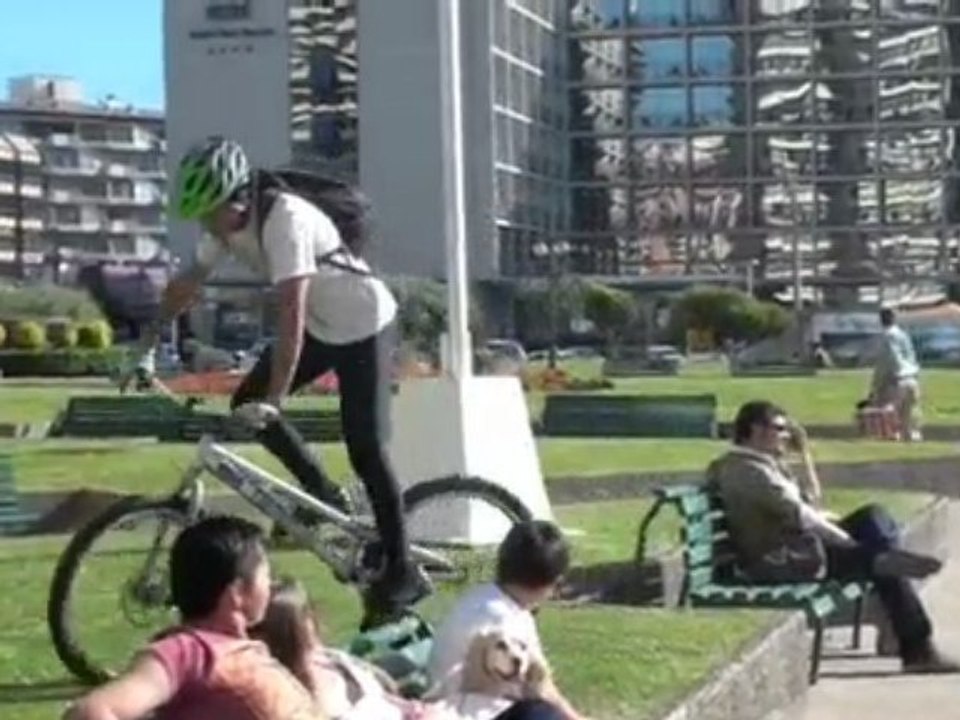 Vina del Mar