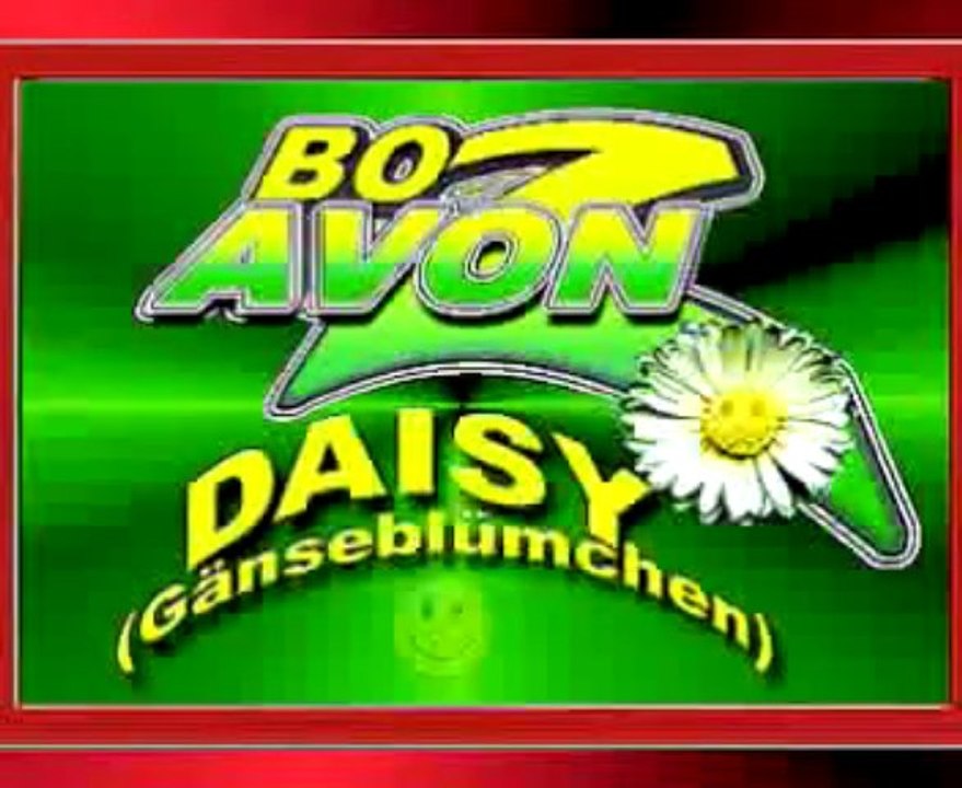 ♫BOZAVON: DAISY ♥ - бозавон