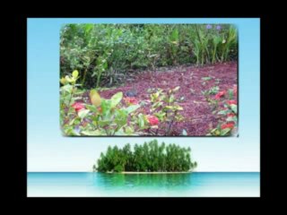 Find Vacation Rental Homes in Florida