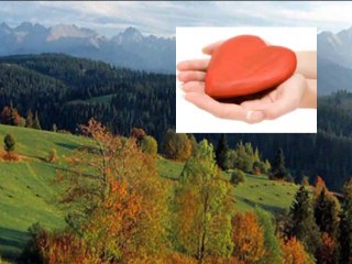 ZAWSZE DLA CIEBIE