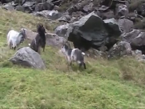 Snowdonia- Training trip with Mike Ponting