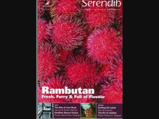 HENNA MEHNDI CREATIONS ON SRILANKAN AIRLINES MAGAZINE