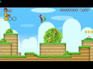 Dolphin - New Super Mario bros Wii