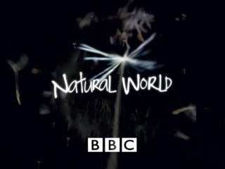 Official Preview "Radio Gibbon", BBC, 2009