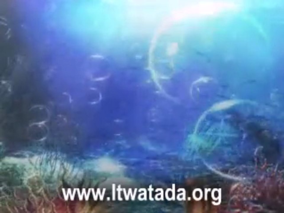 Give the Gift of Recipes for your family this year