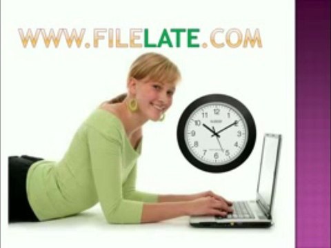 2004 tax: self-service online filing system