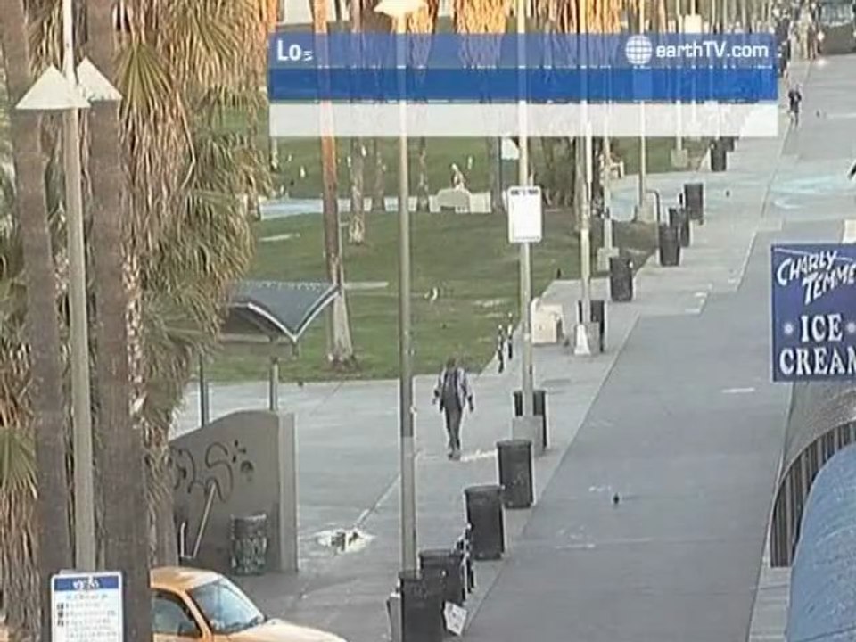 Plettenberg Bay - South Africa, Bandar Seri Begawan - Brunei, Antalya - Turkey, Palma de Mallorca - Spain, Seattle - USA, Los Angeles - USA, Cape Town - South Africa