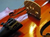 Online Violin Lessons - Learn to play violin