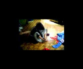 VIAJE DEL HEROE-SHEMA-"ÁGUILA BLANCA"