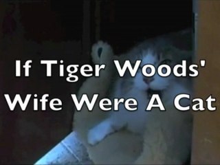 If Tiger Woods' Wife Were A Cat