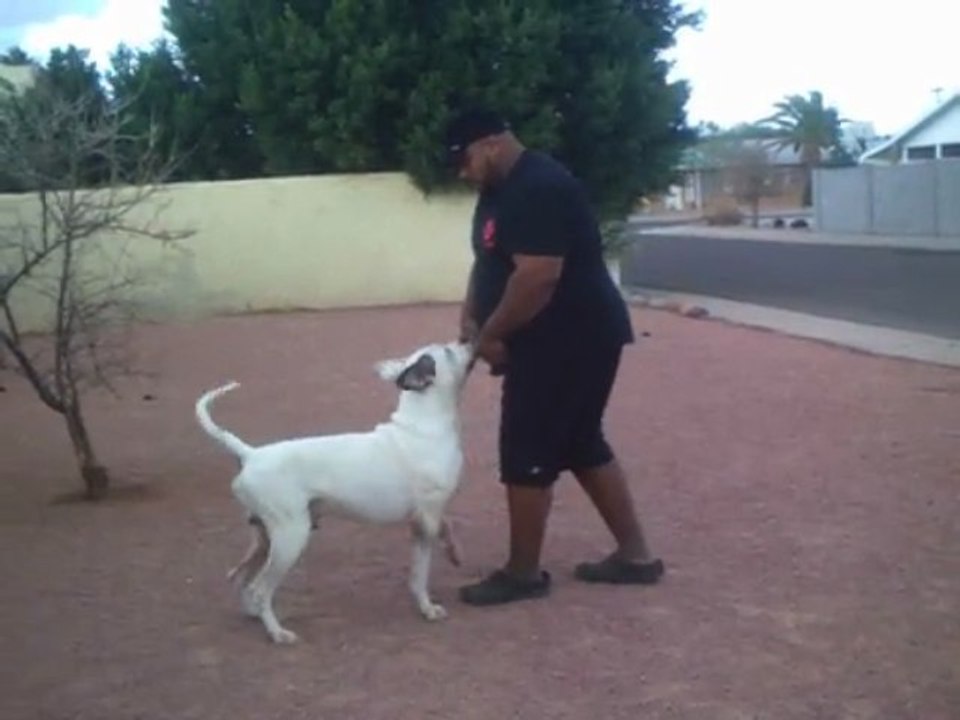 Hank OB4 a little focus heeling with some sticky outs.