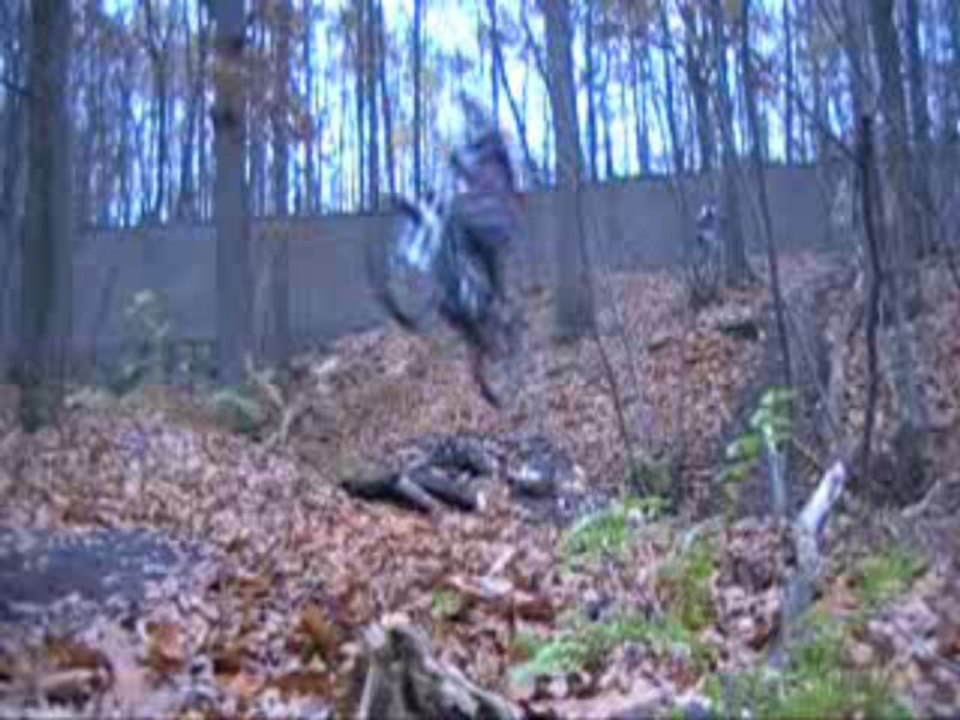 mixte des pistes de  verriere