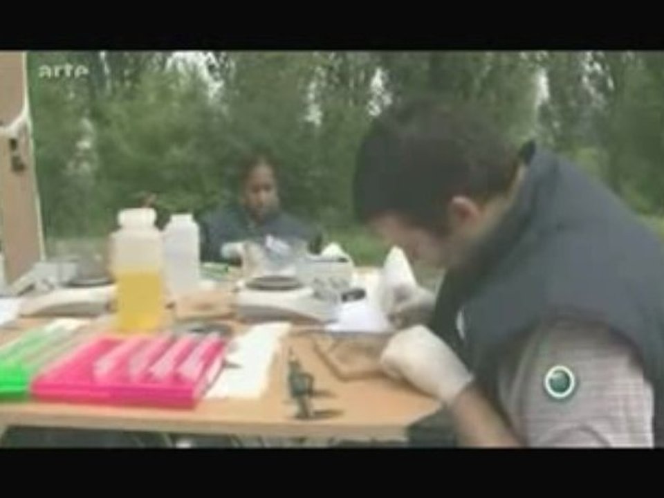 Eaux (potable) polluées aux médicaments