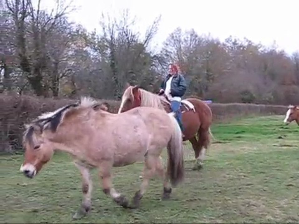 Reprise monte Mindy