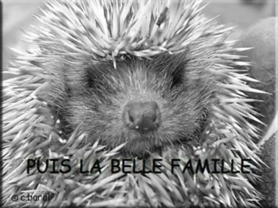 Famille