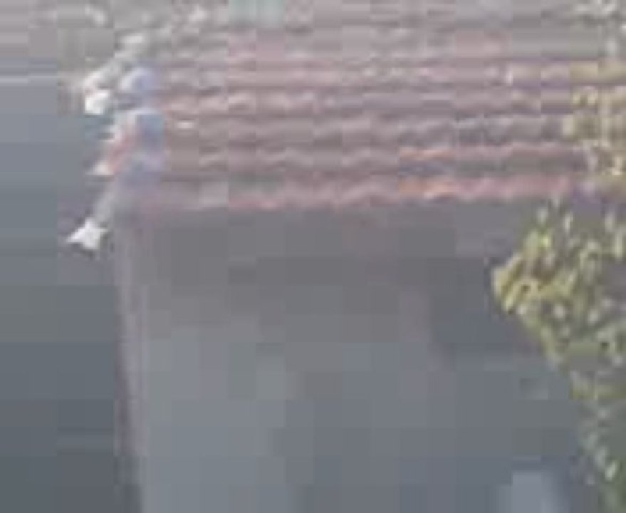 AHMET ESEN (ESKİŞEHİR)