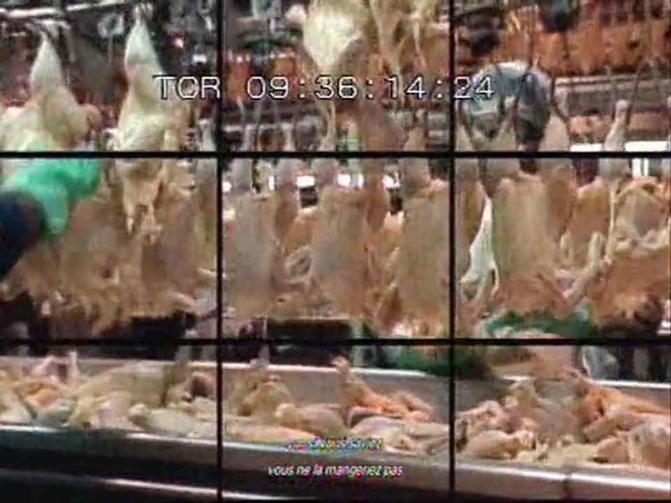 Food inc., l'indigestion gagne