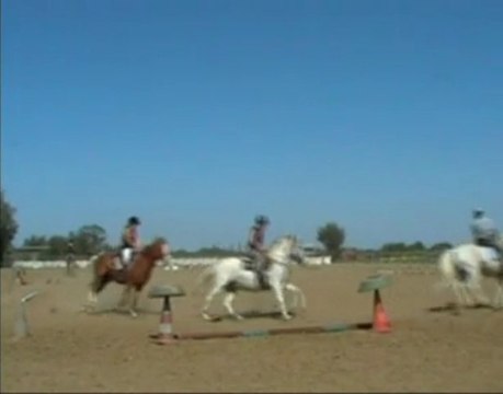 fête du club - carroussel grands