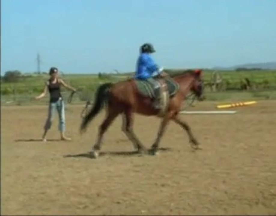 fête du club - voltige Olive