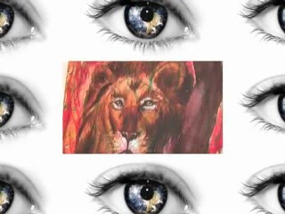 Le MAC 2009 vu par steric