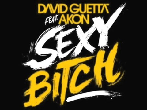 David Guetta feat. Akon - Sexy Bitch