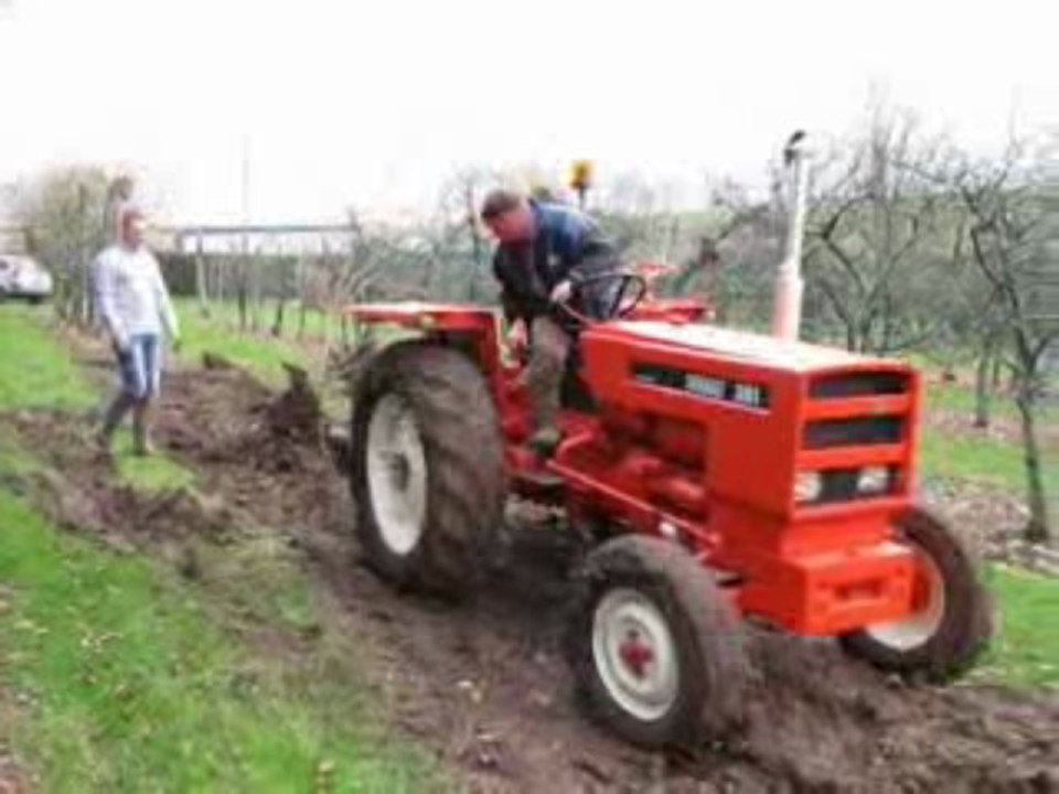 Arrachage de petits arbres