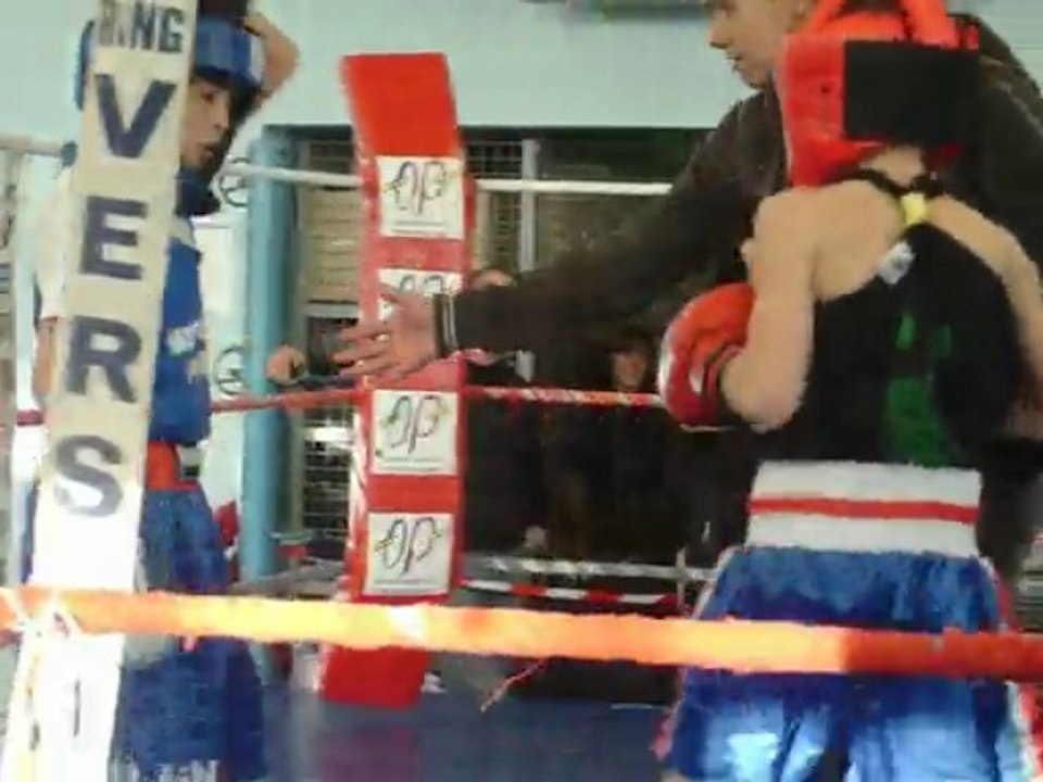 MARLON 9ans Boxe anglaise represente Don Kless