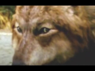 These Violent Delights Have Violent Ends..