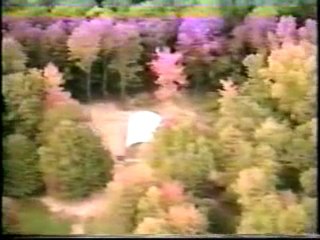 Constructing Steel Buildings