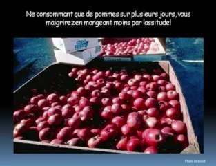 Les régimes amaigrissants des plus populaires