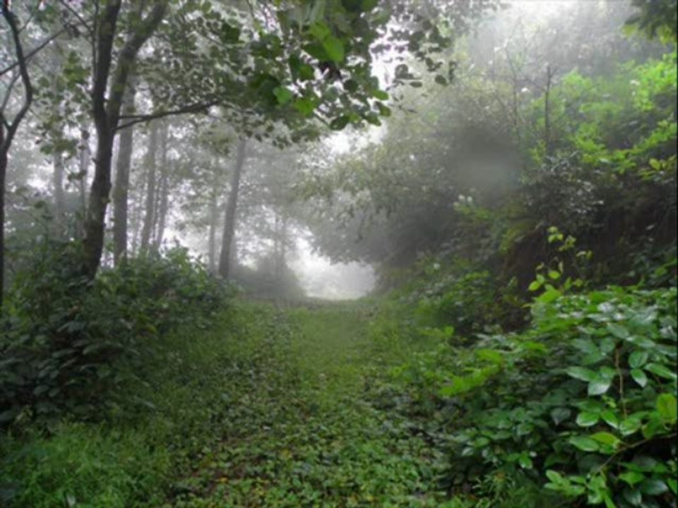 çamlıhemşin yaylalar-altan civelek-kavrun.tr.gg