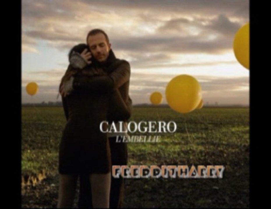 "L'embellie" de Calogero élu Album RTL de l'année 2009