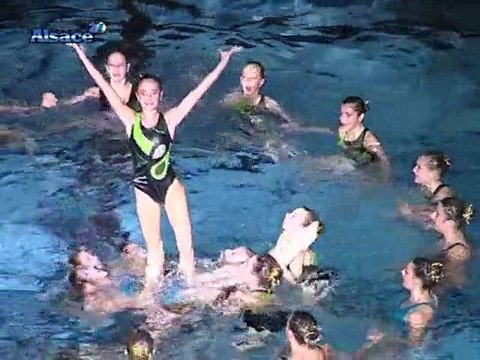 Natation synchronisée, Gala du ballet nautique de Strasbourg