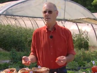 les graines et la biodiversité (2eme partie)