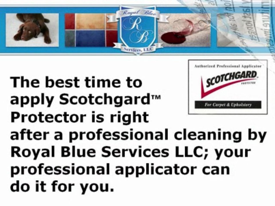 Scotchgard Carpet Cleaning Orlando 321-216-1442