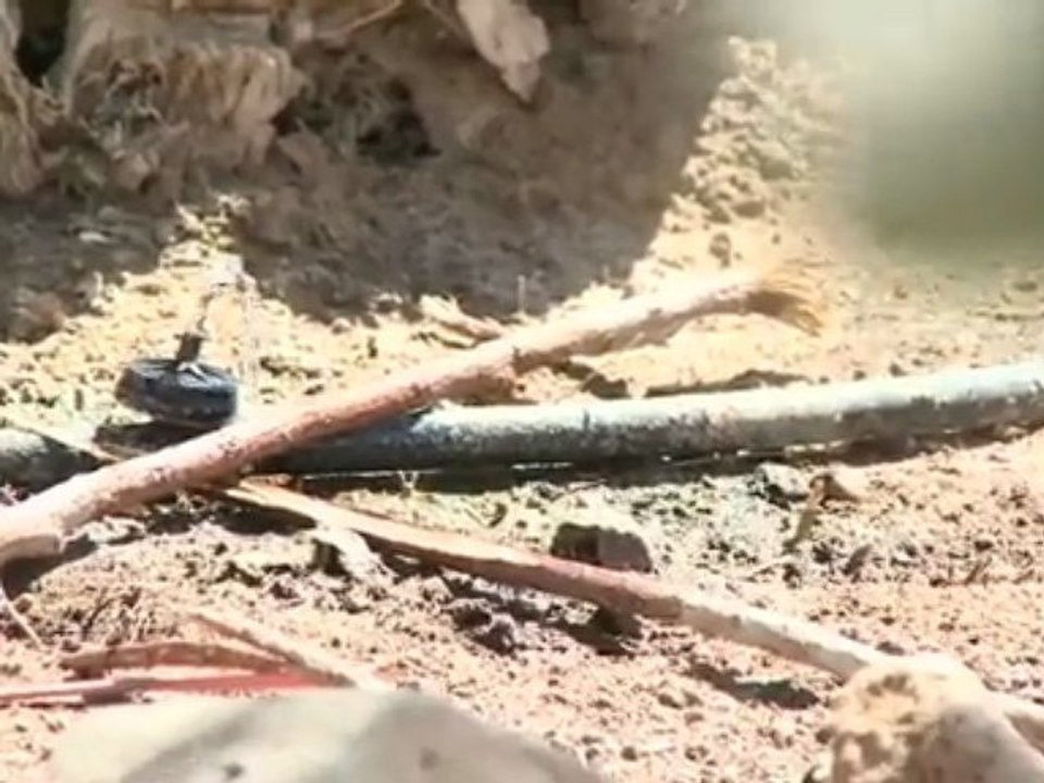 LiveEarth TV (HQ): Join Live Earth's 2010 Global Event