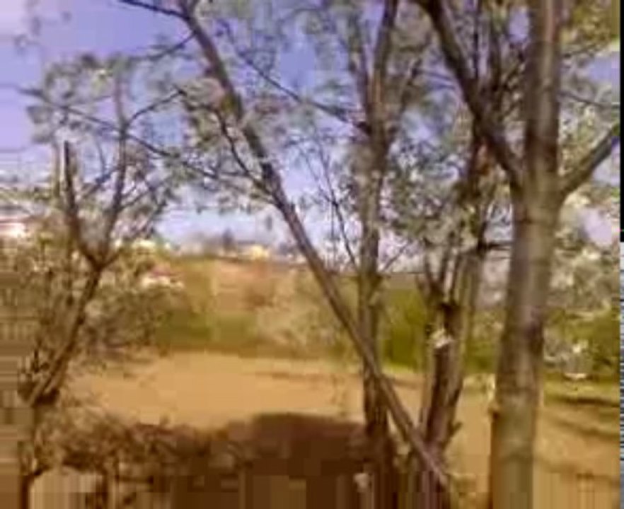 akça kasabası --arpalık mahallesi<