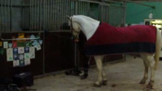 Kerria, cheval de cirque =p