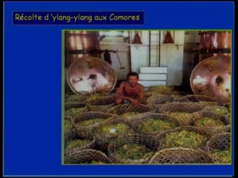 Les Leçons de l'Université 2009 - F. Chemat (1)