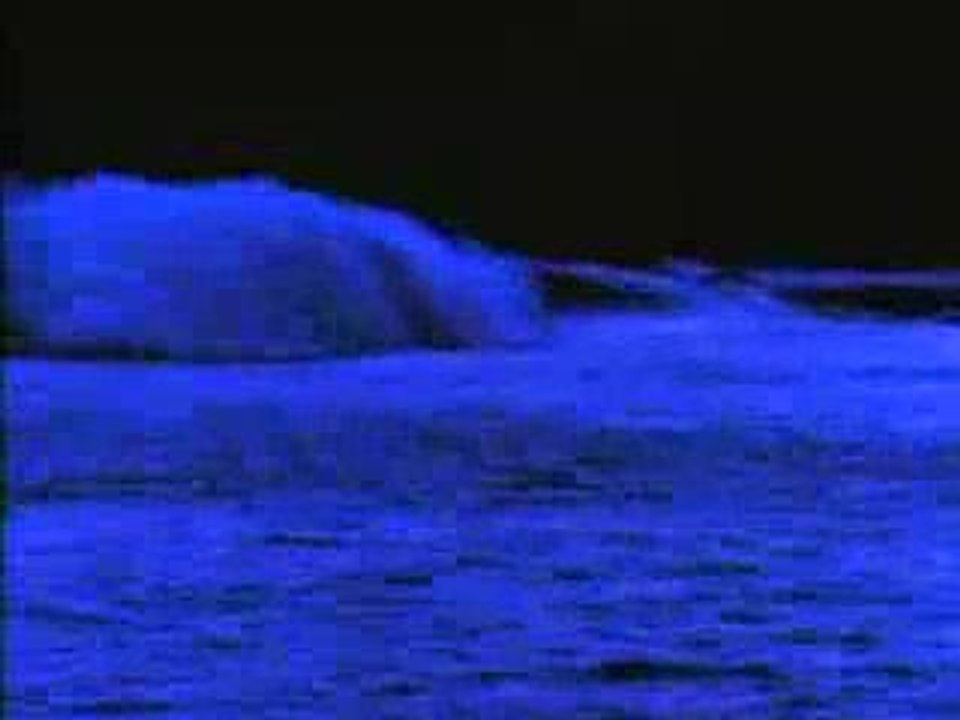 porno for pyros - tahitian moon