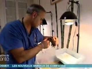 Formations à LA FERME TROPICALE