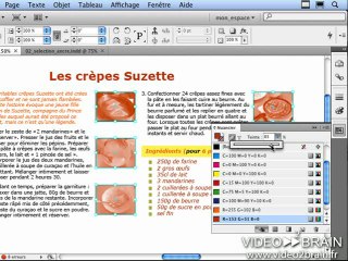 InDesign CS4 : La selection d elements