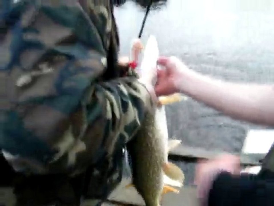 Pêche au brochet en étang