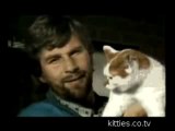 FUNNIEST KITTIES Cat Attacks TV presenter   Funny