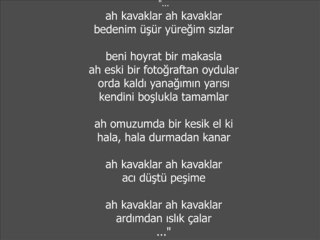 Sezen Aksu - Kavaklar